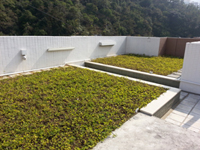 Use of recycled rainwater to irrigate the plants at the roof of Prosperity Villa